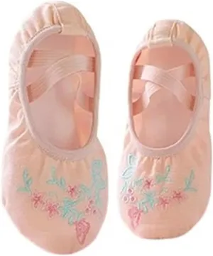 Ballet Shoes for Women Girls Embroidered Ballet Shoes Women Soft Dance Shoes for Training Performance Non-Slip Ballerina Shoes Professional Dance Flats(Flesh 1,32)