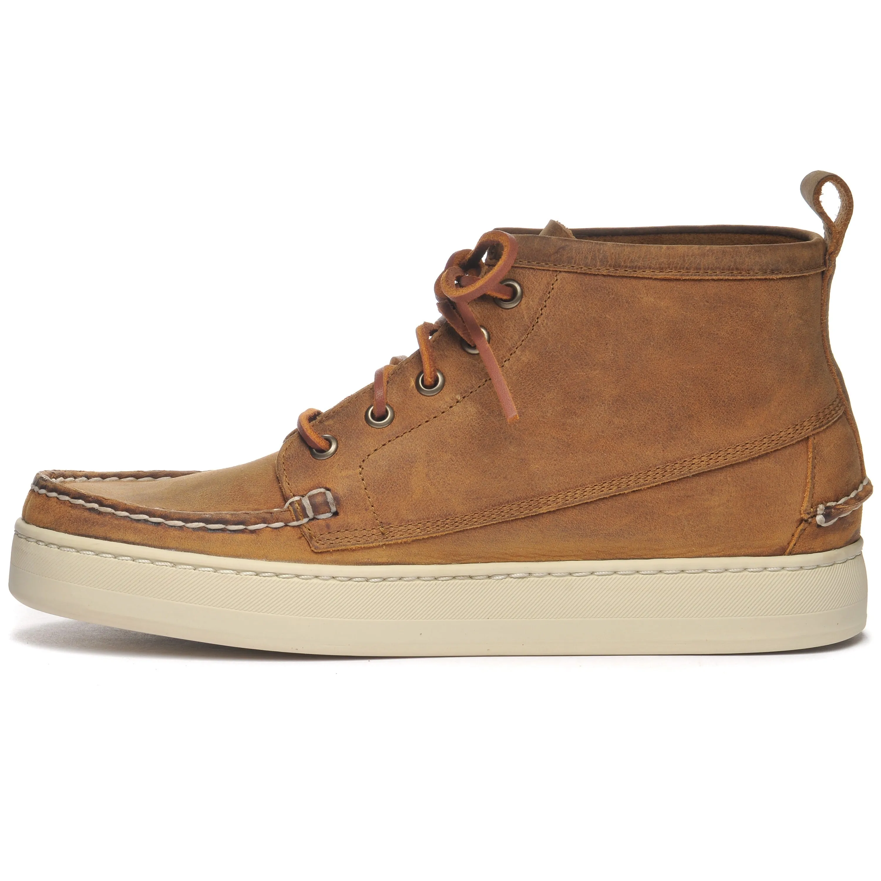 Brig CH - Brown Tan