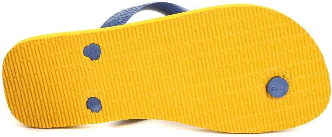 Havaianas Men's Aloha Flip Flop Sandal