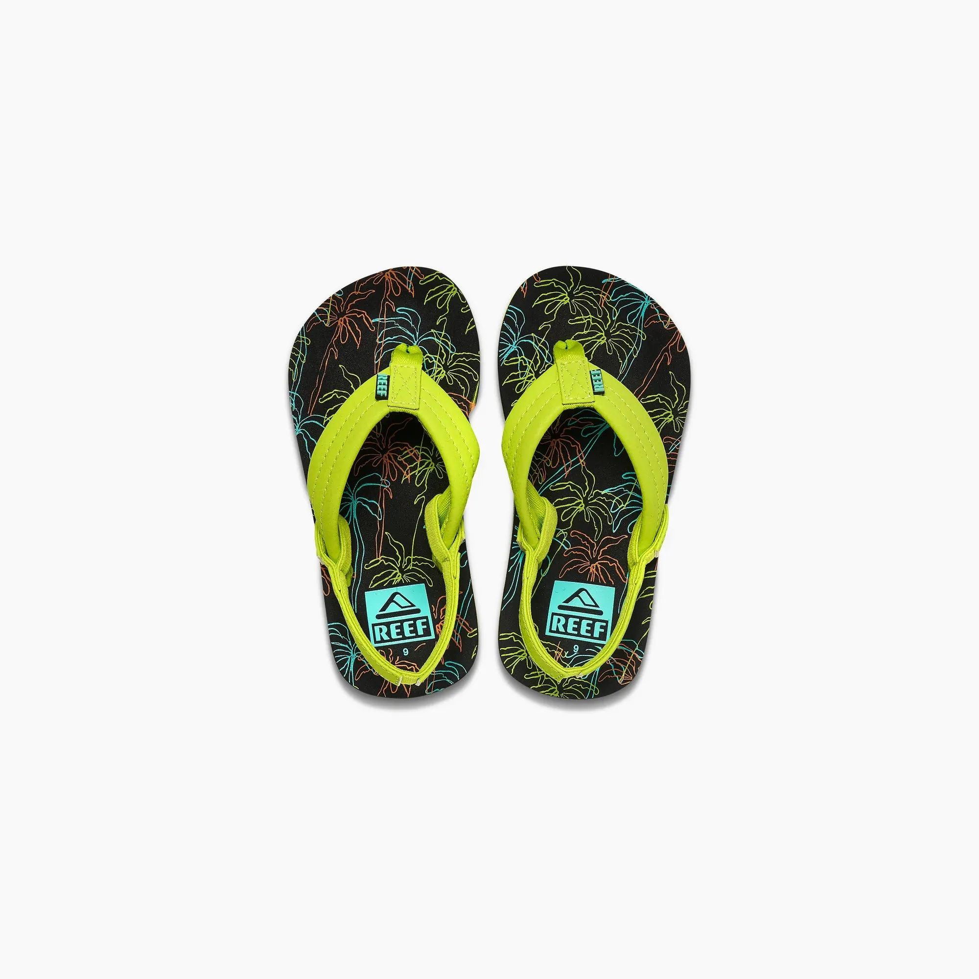 Little Ahi - Neon Palm