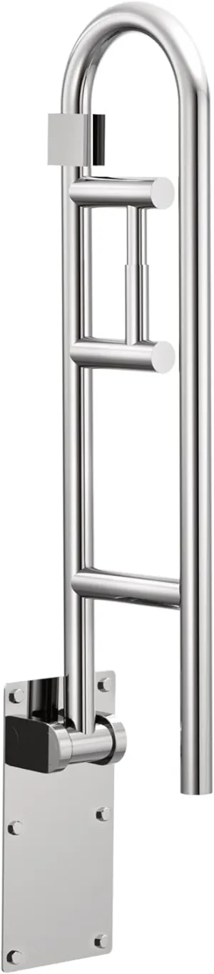 Moen Stainless Safety 30-Inch Flip-Up Bathroom Grab Bar with Integrated Toilet Paper Holder, Wall Mounted Support for Handicapped or Elderly, R8962FD