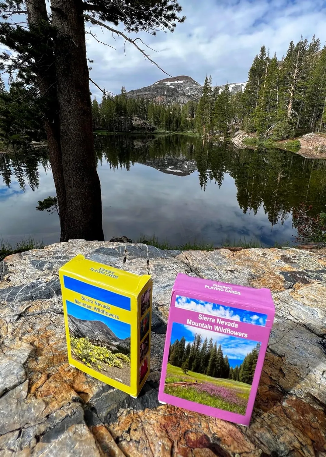Sierra Nevada Mountain Wildflowers Playing Cards (Two Deck Set)