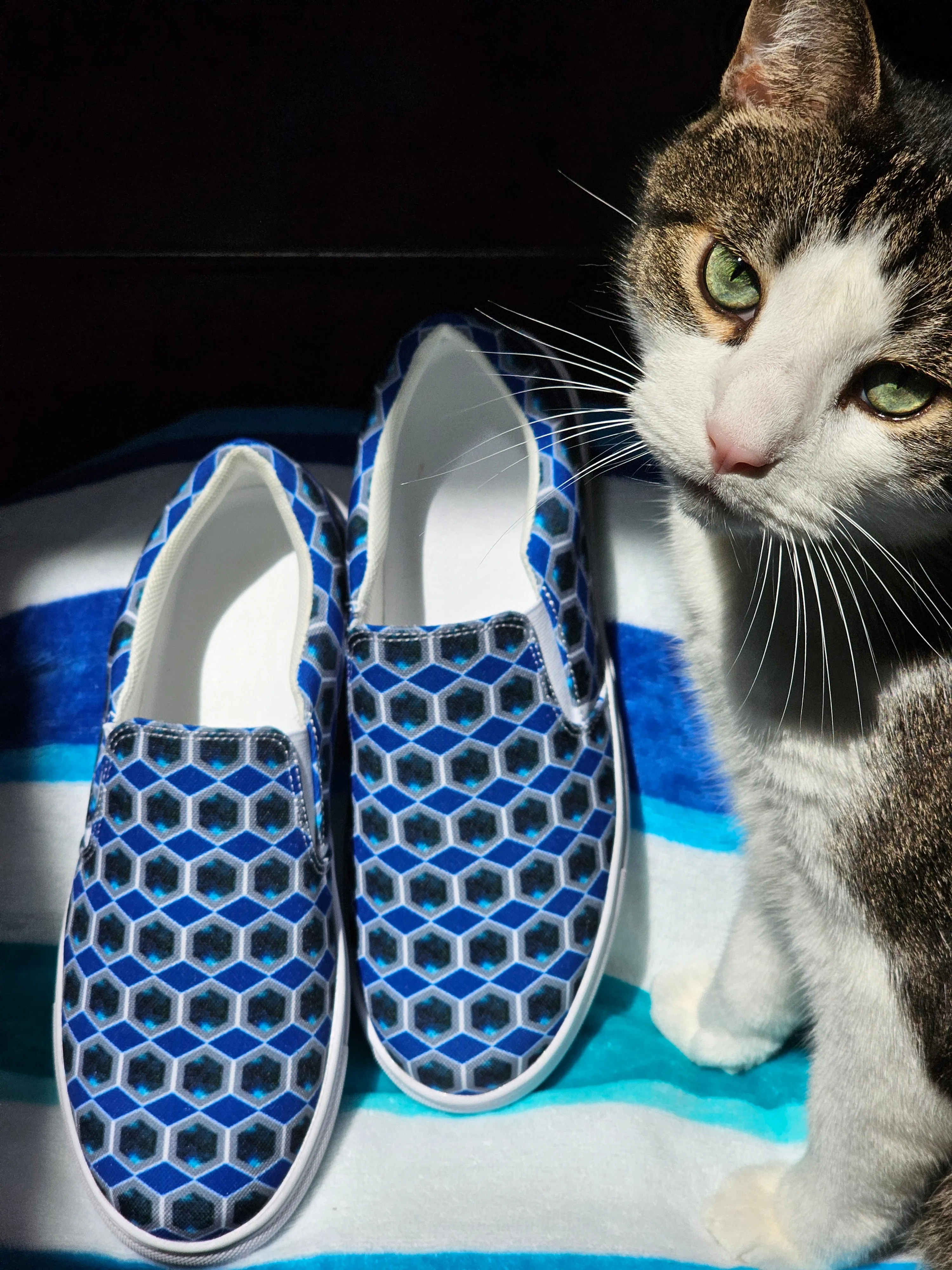 Womens Slip-on Hexagon Print Canvas Shoes